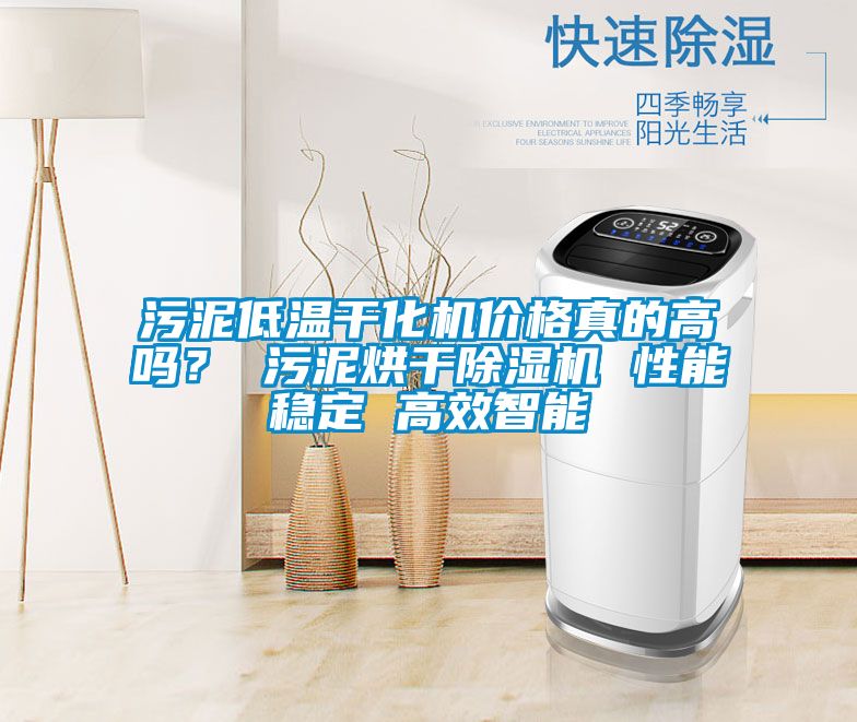 污泥低溫干化機價格真的高嗎？ 污泥烘干除濕機 性能穩(wěn)定 高效智能