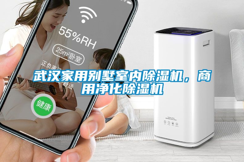 武漢家用別墅室內(nèi)除濕機(jī)，商用凈化除濕機(jī)