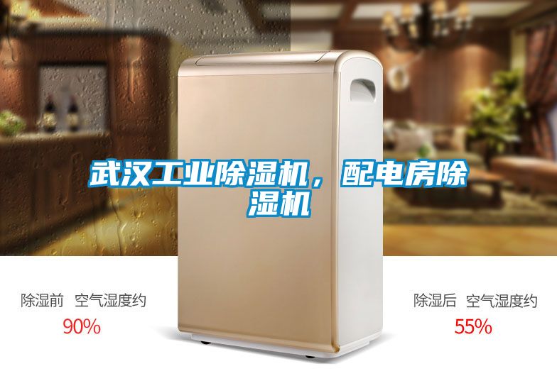 武漢工業(yè)除濕機，配電房除濕機