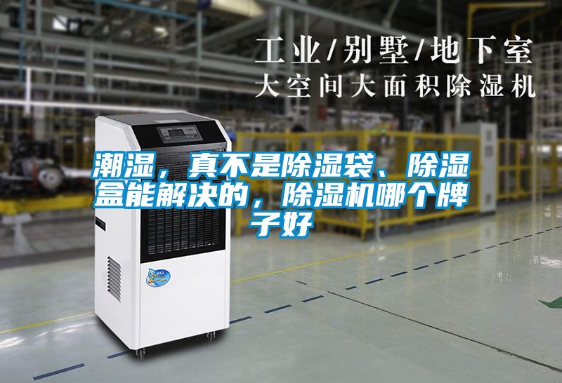潮濕，真不是除濕袋、除濕盒能解決的，除濕機(jī)哪個(gè)牌子好