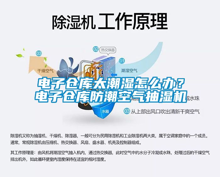 電子倉庫太潮濕怎么辦？電子倉庫防潮空氣抽濕機(jī)