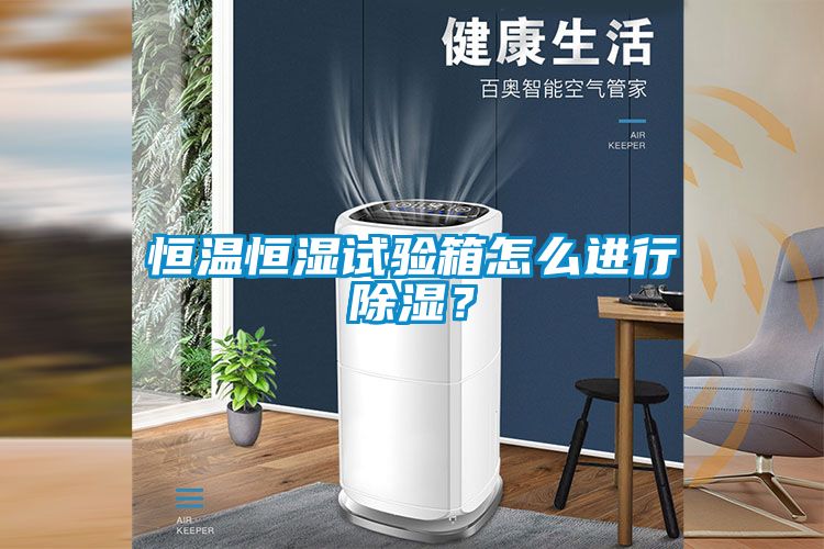 恒溫恒濕試驗(yàn)箱怎么進(jìn)行除濕？