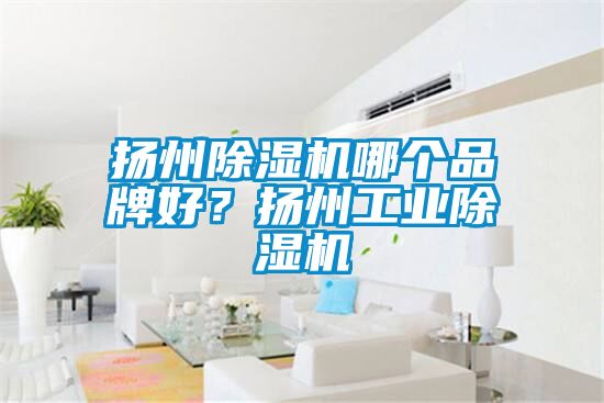 揚(yáng)州除濕機(jī)哪個品牌好？揚(yáng)州工業(yè)除濕機(jī)