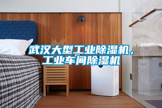 武漢大型工業(yè)除濕機(jī)，工業(yè)車間除濕機(jī)