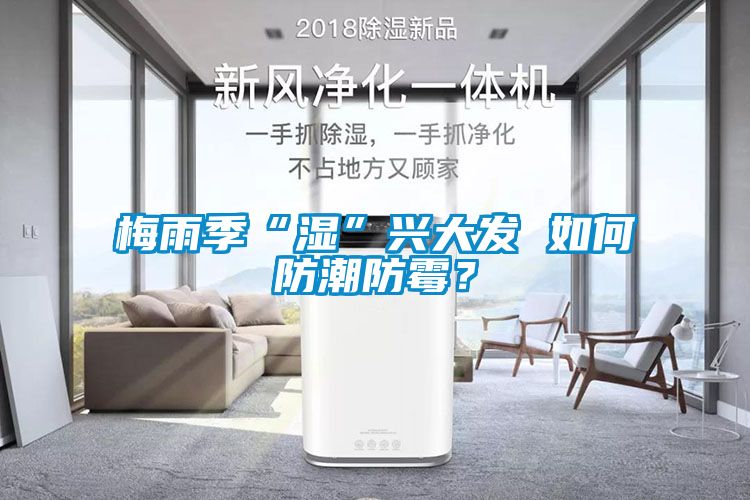 梅雨季“濕”興大發(fā) 如何防潮防霉？