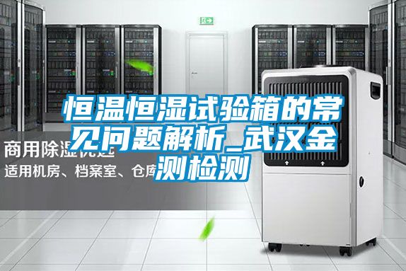 恒溫恒濕試驗(yàn)箱的常見(jiàn)問(wèn)題解析_武漢金測(cè)檢測(cè)