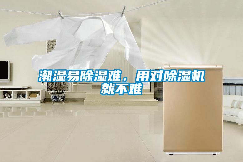 潮濕易除濕難，用對除濕機就不難