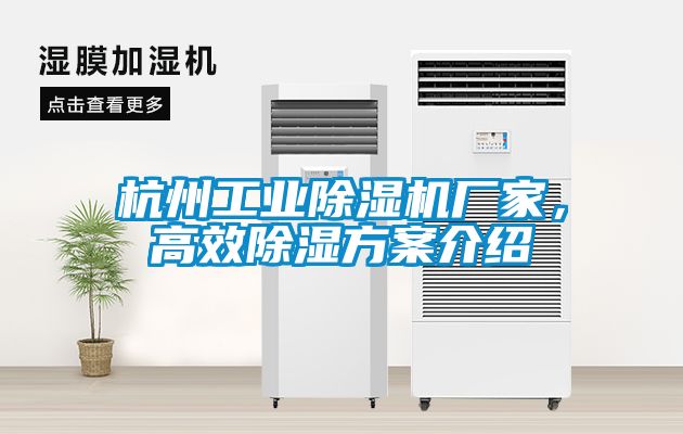 杭州工業(yè)除濕機(jī)廠家，高效除濕方案介紹