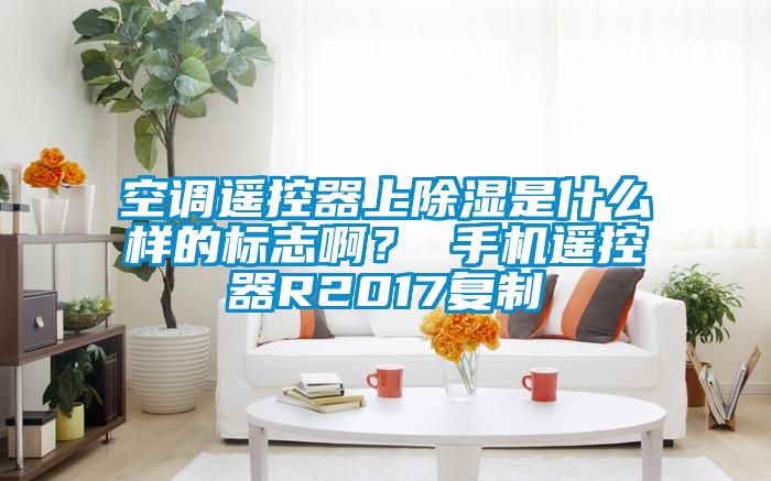 空調(diào)遙控器上除濕是什么樣的標(biāo)志??？ 手機(jī)遙控器R2017復(fù)制