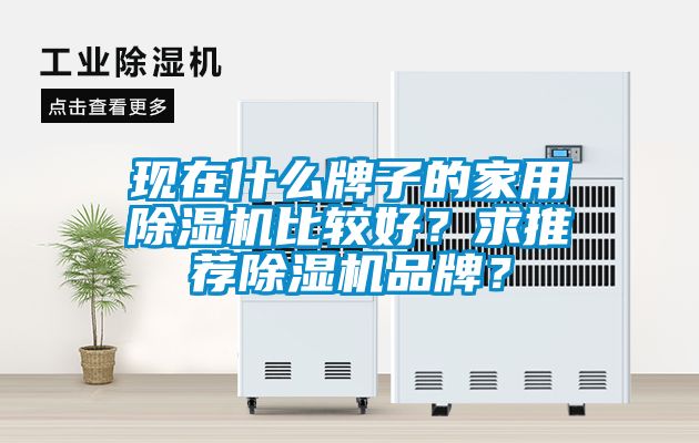 現(xiàn)在什么牌子的家用除濕機(jī)比較好？求推薦除濕機(jī)品牌？