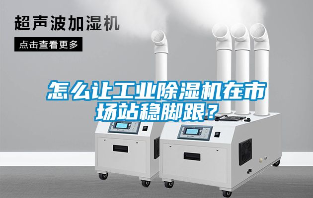 怎么讓工業(yè)除濕機(jī)在市場站穩(wěn)腳跟？
