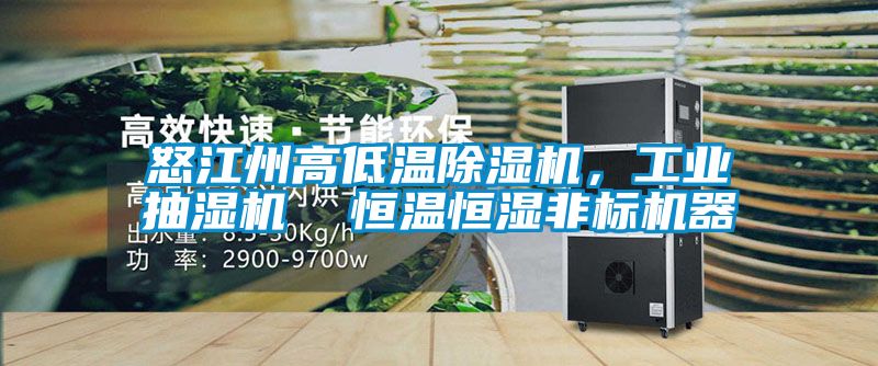怒江州高低溫除濕機(jī)，工業(yè)抽濕機(jī)  恒溫恒濕非標(biāo)機(jī)器