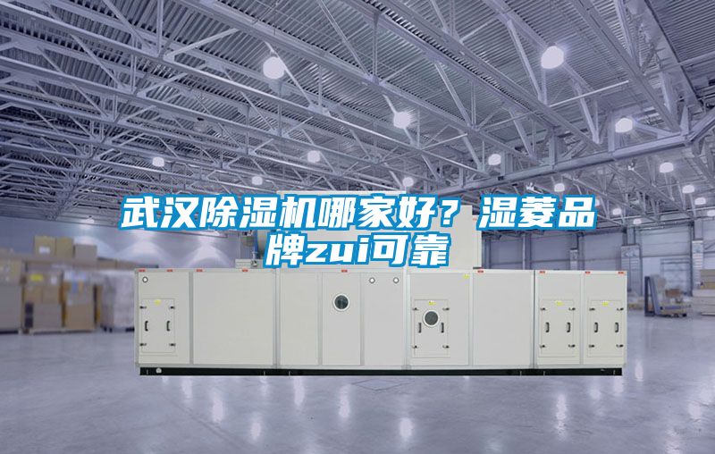 武漢除濕機哪家好？濕菱品牌zui可靠