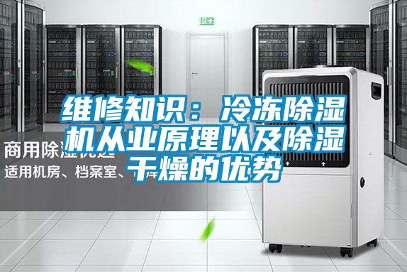 維修知識:冷凍除濕機從業(yè)原理以及除濕干燥的優(yōu)勢