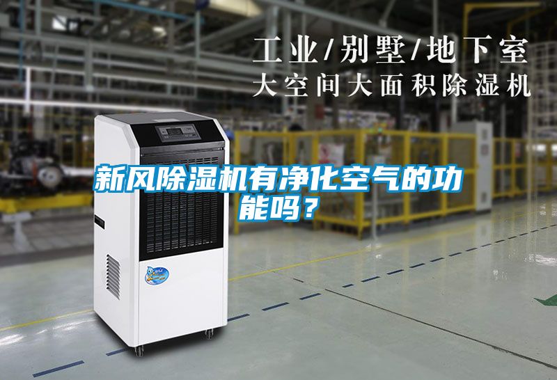 新風(fēng)除濕機(jī)有凈化空氣的功能嗎？