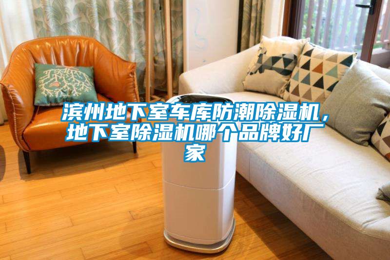 濱州地下室車庫防潮除濕機(jī)，地下室除濕機(jī)哪個品牌好廠家