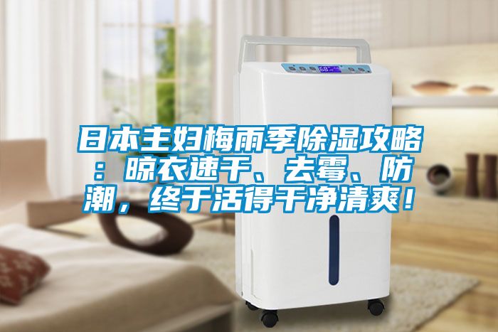 日本主婦梅雨季除濕攻略：晾衣速干、去霉、防潮，終于活得干凈清爽！