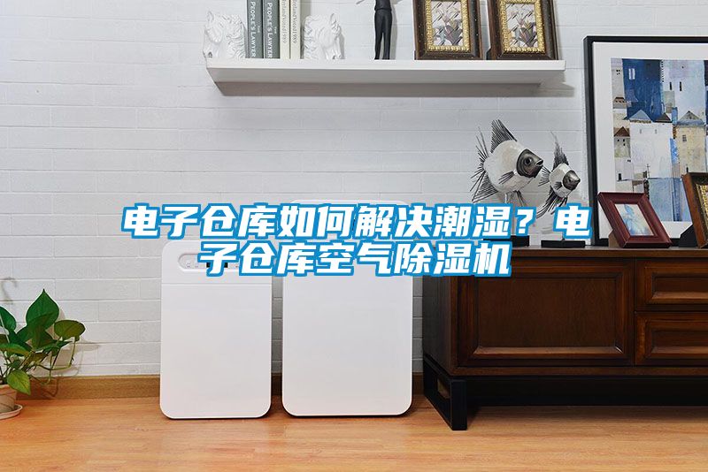 電子倉(cāng)庫(kù)如何解決潮濕？電子倉(cāng)庫(kù)空氣除濕機(jī)