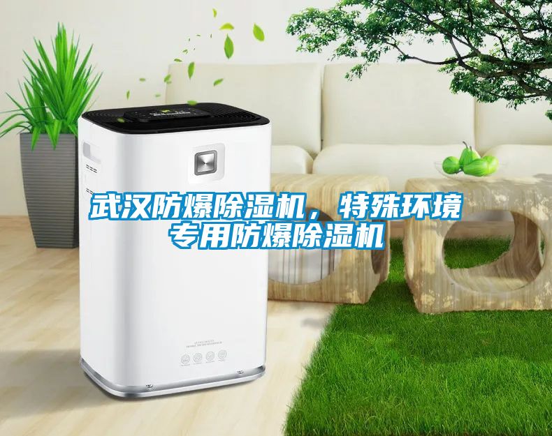 武漢防爆除濕機(jī)，特殊環(huán)境專用防爆除濕機(jī)