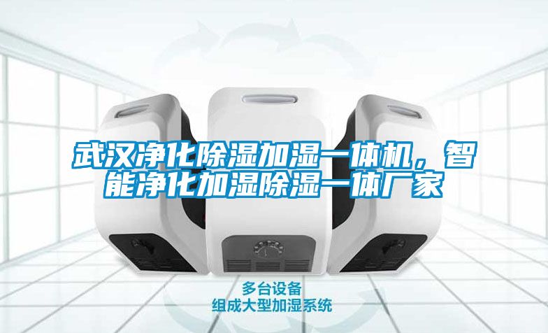武漢凈化除濕加濕一體機(jī)，智能凈化加濕除濕一體廠家