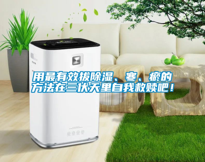 用最有效拔除濕、寒、瘀的方法在三伏天里自我救贖吧！