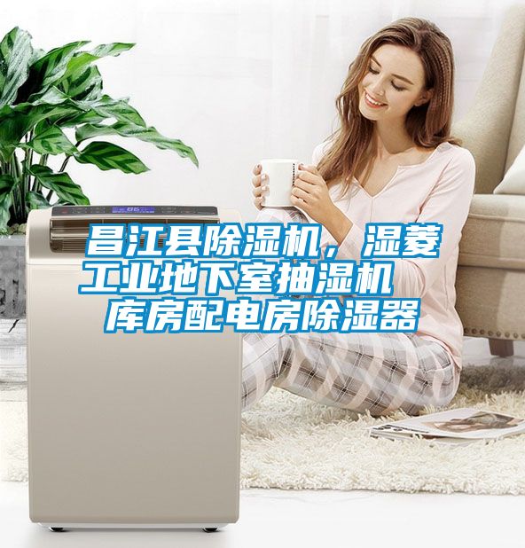 昌江縣除濕機(jī)，濕菱工業(yè)地下室抽濕機(jī)  庫房配電房除濕器