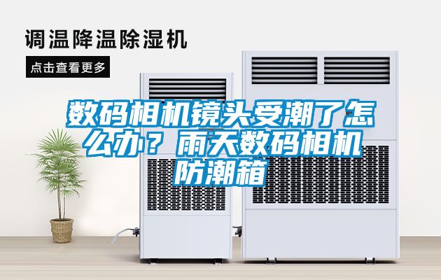 數(shù)碼相機(jī)鏡頭受潮了怎么辦？雨天數(shù)碼相機(jī)防潮箱