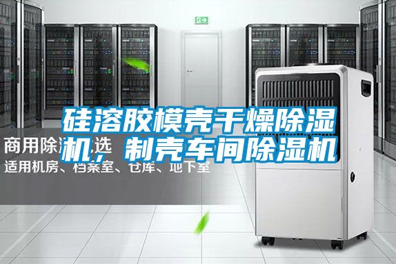 硅溶膠模殼干燥除濕機，制殼車間除濕機