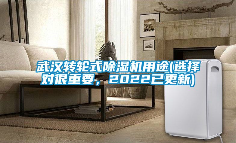 武漢轉(zhuǎn)輪式除濕機(jī)用途(選擇對(duì)很重要，2022已更新)
