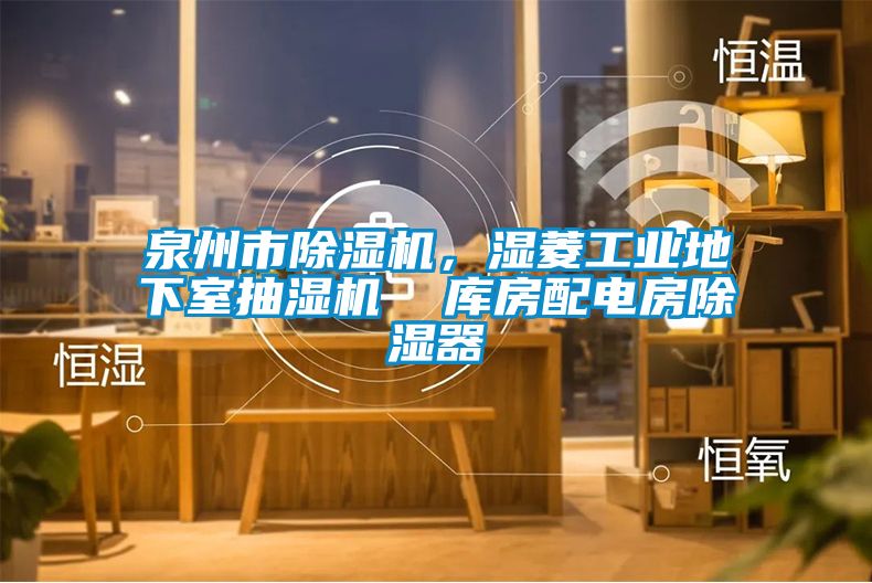 泉州市除濕機(jī)，濕菱工業(yè)地下室抽濕機(jī)  庫房配電房除濕器