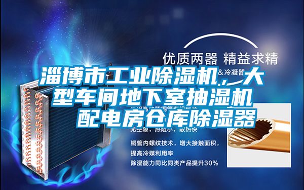 淄博市工業(yè)除濕機(jī)，大型車間地下室抽濕機(jī)  配電房倉庫除濕器