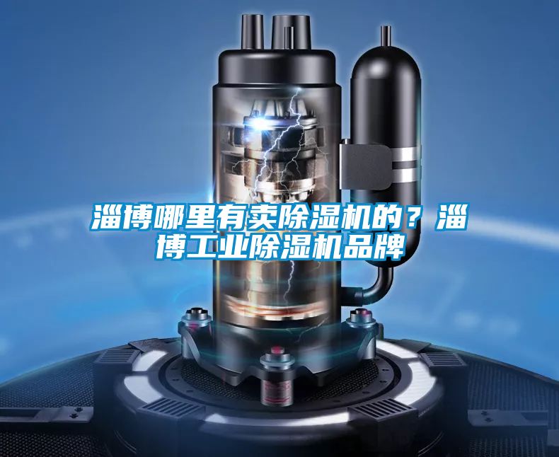 淄博哪里有賣除濕機的？淄博工業(yè)除濕機品牌