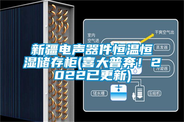新疆電聲器件恒溫恒濕儲存柜(喜大普奔！2022已更新)