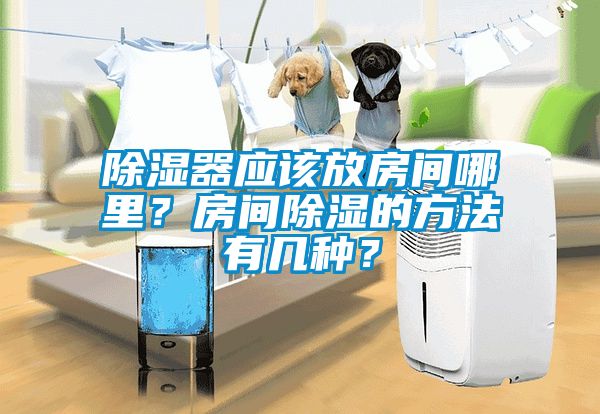 除濕器應(yīng)該放房間哪里？房間除濕的方法有幾種？