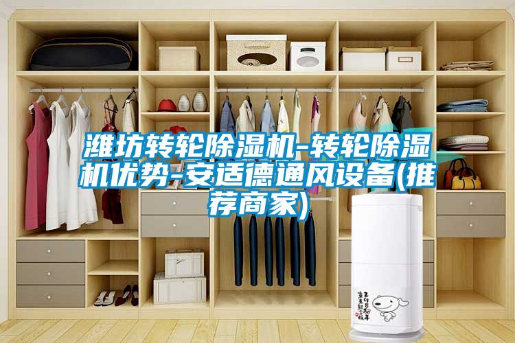 濰坊轉輪除濕機-轉輪除濕機優(yōu)勢-安適德通風設備(推薦商家)