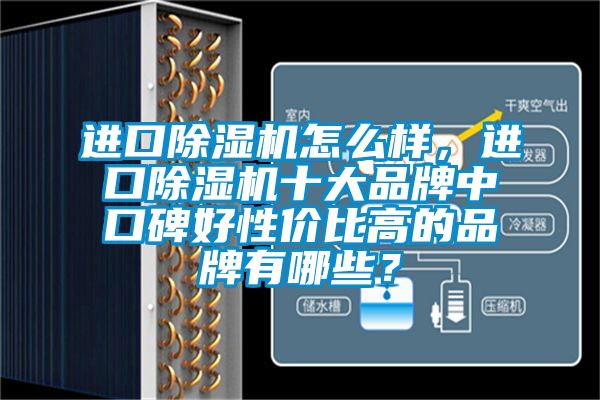 進(jìn)口除濕機(jī)怎么樣，進(jìn)口除濕機(jī)十大品牌中口碑好性價(jià)比高的品牌有哪些？