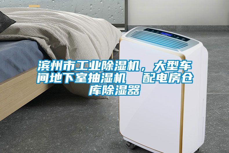 濱州市工業(yè)除濕機(jī)，大型車(chē)間地下室抽濕機(jī)  配電房倉(cāng)庫(kù)除濕器