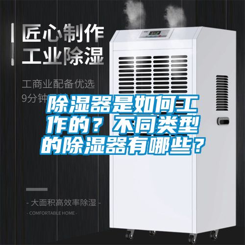 除濕器是如何工作的？不同類型的除濕器有哪些？