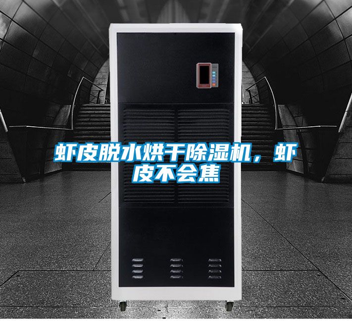 蝦皮脫水烘干除濕機，蝦皮不會焦