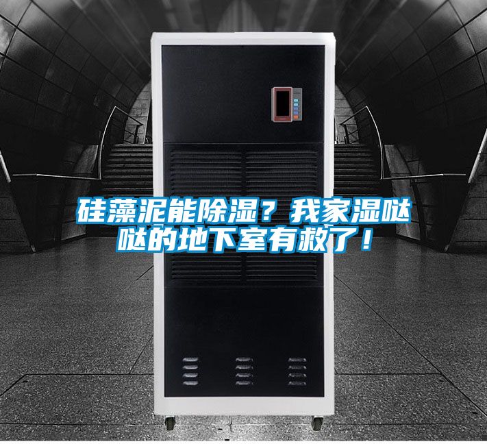 硅藻泥能除濕？我家濕噠噠的地下室有救了！