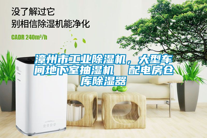 漳州市工業(yè)除濕機(jī)，大型車間地下室抽濕機(jī)  配電房倉(cāng)庫(kù)除濕器