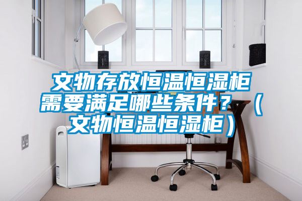 文物存放恒溫恒濕柜需要滿足哪些條件？（文物恒溫恒濕柜）