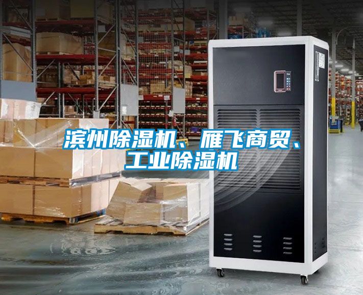 濱州除濕機(jī)、雁飛商貿(mào)、工業(yè)除濕機(jī)