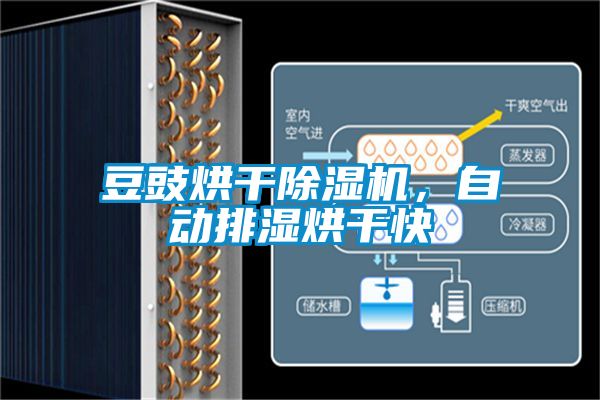 豆豉烘干除濕機(jī)，自動(dòng)排濕烘干快