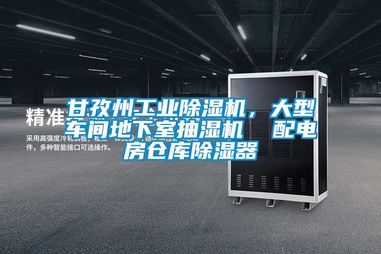 甘孜州工業(yè)除濕機，大型車間地下室抽濕機  配電房倉庫除濕器