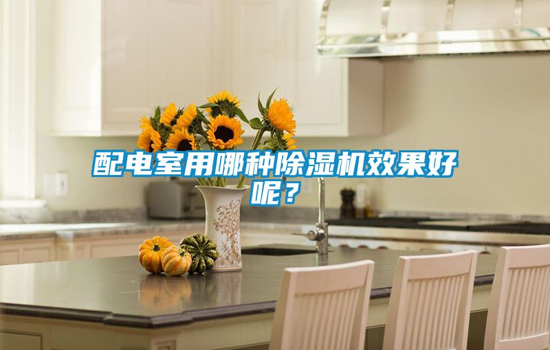 配電室用哪種除濕機(jī)效果好呢？