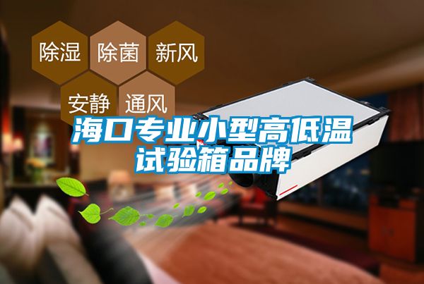 ?？趯I(yè)小型高低溫試驗(yàn)箱品牌