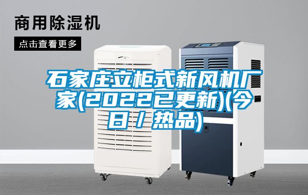 石家莊立柜式新風(fēng)機(jī)廠家(2022已更新)(今日／熱品)