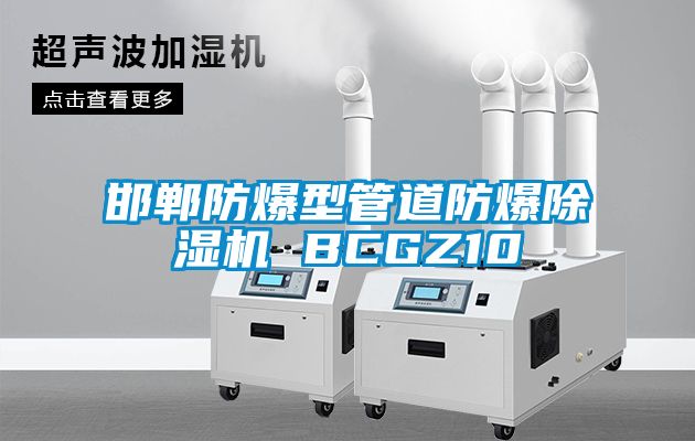 邯鄲防爆型管道防爆除濕機(jī) BCGZ10