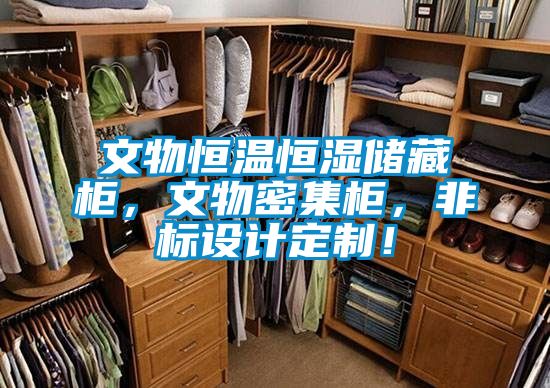 文物恒溫恒濕儲(chǔ)藏柜，文物密集柜，非標(biāo)設(shè)計(jì)定制！